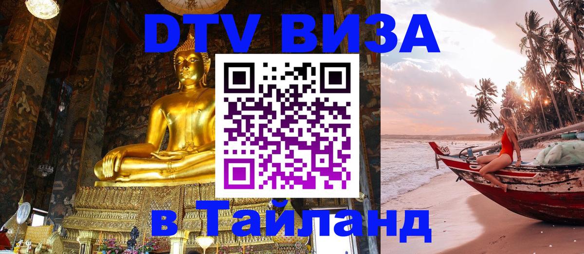 Оформление DTV визы под ключ: стоимость и тарифы, только загранпаспорт - 18.11.2025 